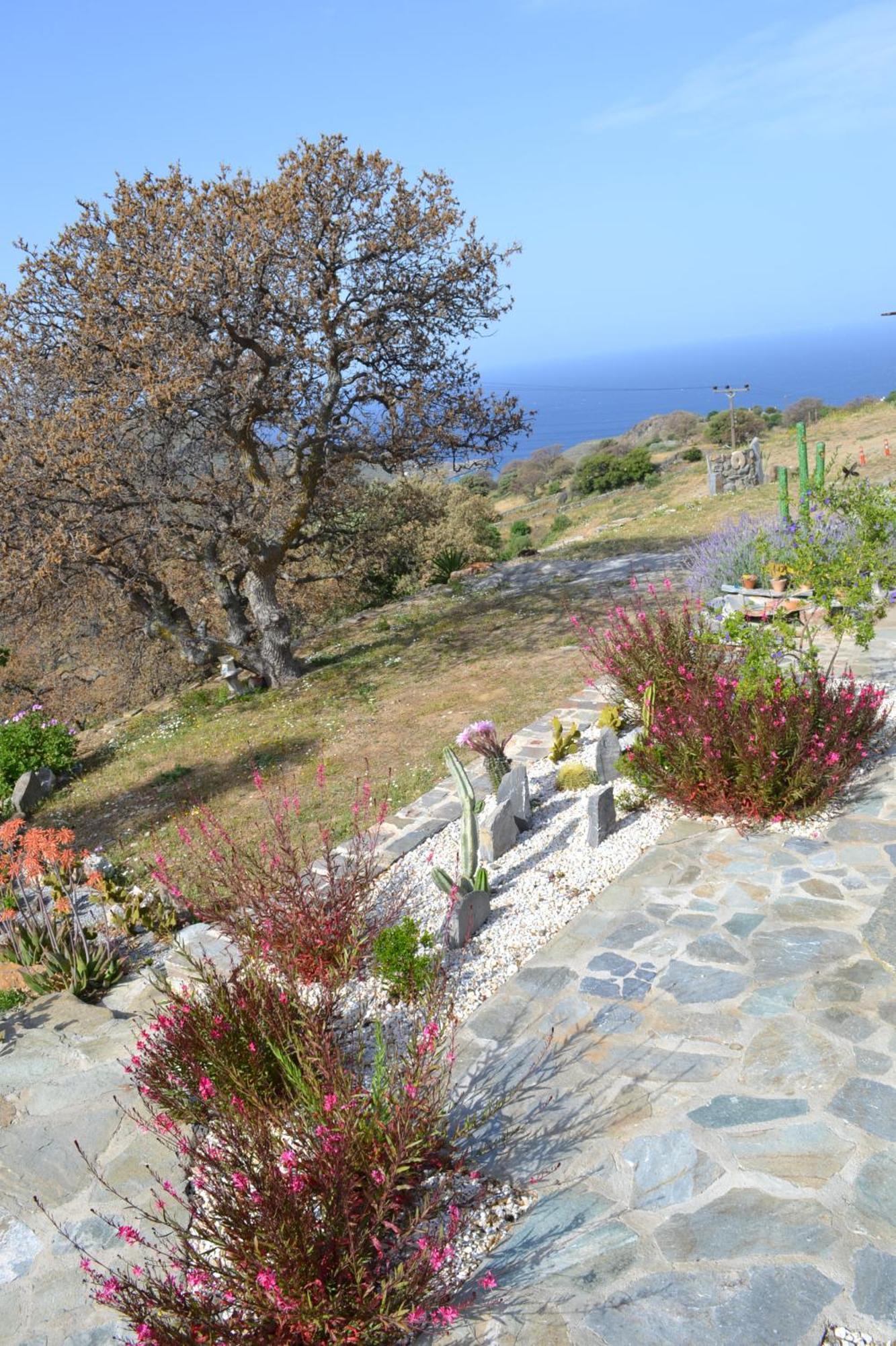 Rural Guest House, Quiet Stay In Nature With Sea View Chavouna ภายนอก รูปภาพ